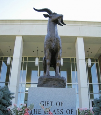 Gompei - Worcester, MA.jpg