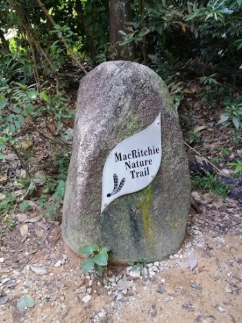 Macritchie Nature Trail - Singapore, Singapore.jpg