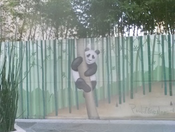 Panda - San Jose, CA.jpg