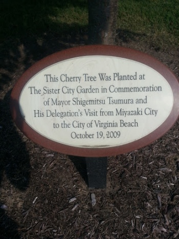 Sister City Garden Cherry Tree - Virginia Beach, VA.jpg