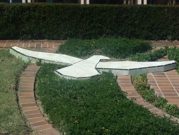 River Ridge Gull - Oxnard, CA.jpg