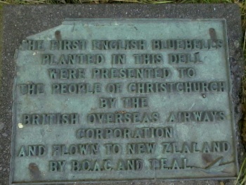 English Bluebells Plaque - Christchurch, Canterbury.jpg