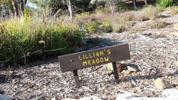 Lillian's Meadow - Thousand Oaks, CA.jpg