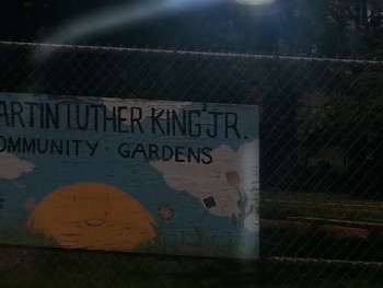 Dr King Community Garden - Newark, NJ.jpg