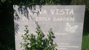 Nueva Vista Butterfly Garden - Concord, CA.jpg