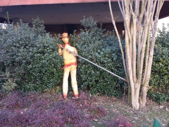 Sneak Attack - Cary, NC.jpg
