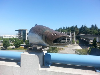 Freeway Fish - Bellevue, WA.jpg
