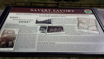 Savery Savory Plaque - Westminster, CO.jpg