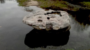The Round Rock - Round Rock, TX.jpg