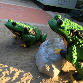 Frog Sandbox - Irvine, CA.jpg