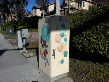 Garden Box - Vista, CA.jpg