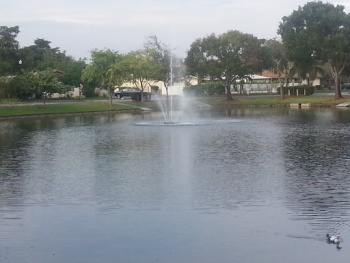 Fountain at Nova Village - Davie, FL.jpg
