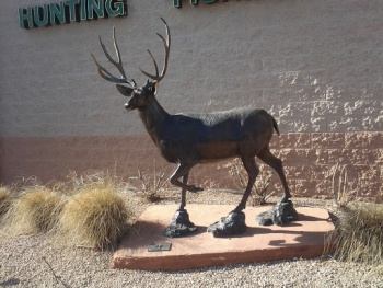 Bronze Stag - Mesa, AZ.jpg