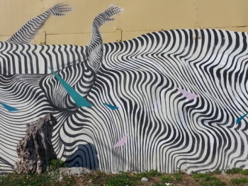 Wyndwood Art Mural - Zebra - Miami, FL.jpg