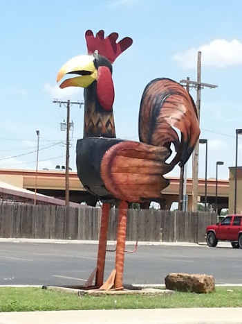 River Smith's Rooster - Lubbock, TX.jpg
