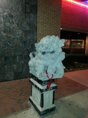 ShiShi Dog - Grand Prairie, TX.jpg