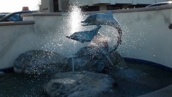 Corporate Dolphins - Thousand Oaks, CA.jpg