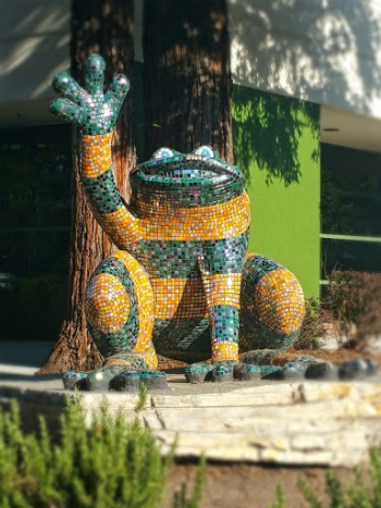 Disco Frog - Santa Rosa, CA.jpg