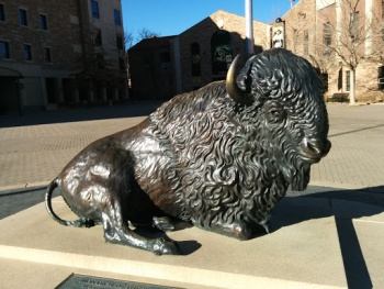 Monarch of the Plains - Boulder, CO.jpg