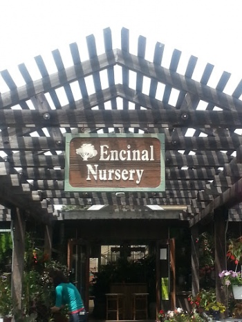 Encinal Nursery - Alameda, CA.jpg
