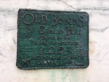 Old Bones - Buffalo, NY.jpg