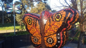 Three Large Butterflies - Adelaide, SA.jpg