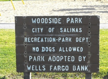 Woodside Park - Salinas, CA.jpg