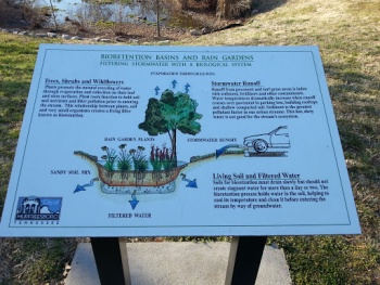 Bioretention Basins and Rain Gardens - Murfreesboro, TN.jpg