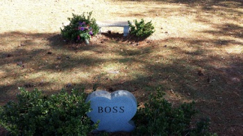 Boss Memorial Bench - Stockbridge, GA.jpg