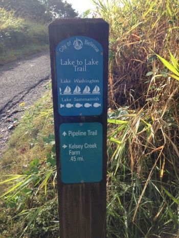 Lake 2 Lake Marker - Bellevue, WA.jpg