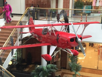 Red Monkey Biplane - Raleigh, NC.jpg
