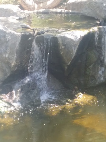 Stone Waterfall - Escondido, CA.jpg
