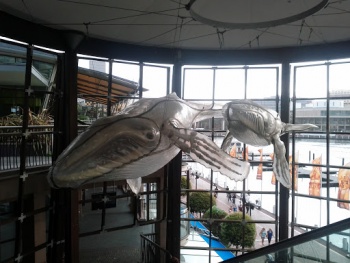 Two Whale Skeletons - Sydney, NSW.jpg