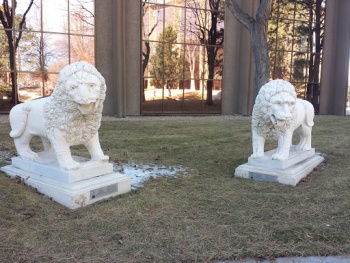 2 Lions in the Triad - Greenwood Village, CO.jpg
