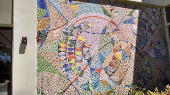 Human Services Mosaic - Santa Rosa, CA.jpg