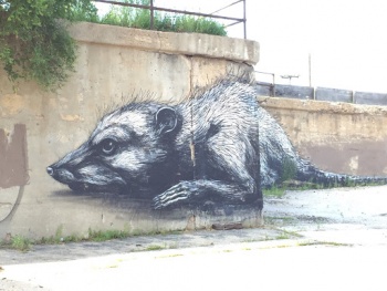 Rat Mural - Chicago, IL.jpg