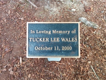 Tucker Lee Wales Memorial - Renton, WA.jpg