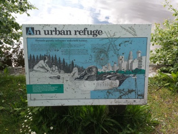 An Urban Refuge - Vancouver, BC.jpg