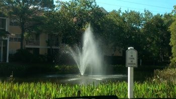 Bay Park Tertiary Pond - Clearwater, FL.jpg