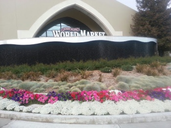 Color Changing Fountain - Simi Valley, CA.jpg