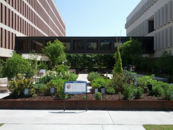MUSC's Porcher Medicinal Garden - Charleston, SC.jpg