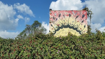 Sunshine Community Gardens - Austin, TX.jpg