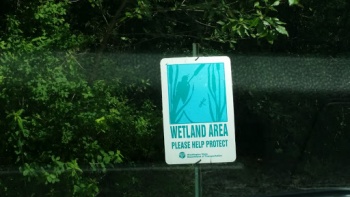 WSDOT Wetlands - Renton, WA.jpg
