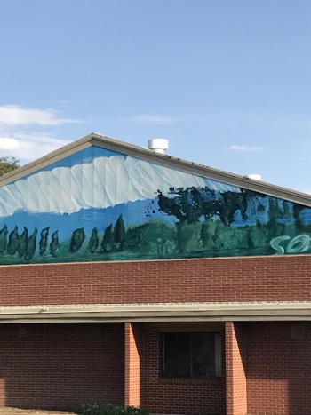Sky And Trees Mural - Evans, CO.jpg
