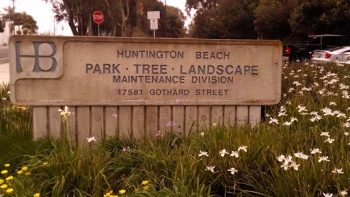 HB Park Trees Landscape Maintenance Division - Huntington Beach, CA.jpg