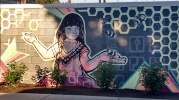 Pacific Yard Service Honeycomb - Eugene, OR.jpg