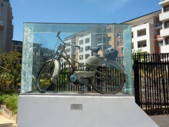 Insect with Lead - Pyrmont, NSW.jpg