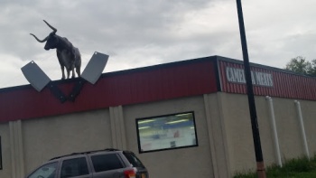 Camellia Meats Cattle Statue - Buffalo, NY.jpg