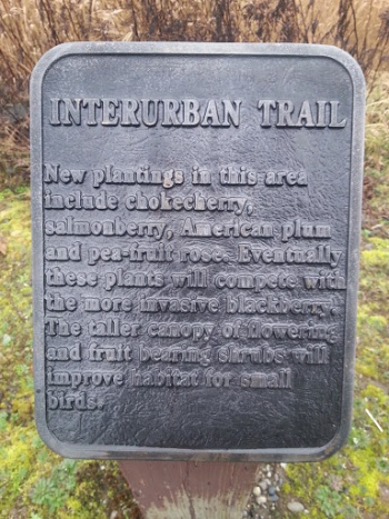 Interurban Salmon Rehab Project Sign - Kent, WA.jpg