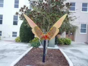 Trinity Butterfly - Lakeland, FL.jpg